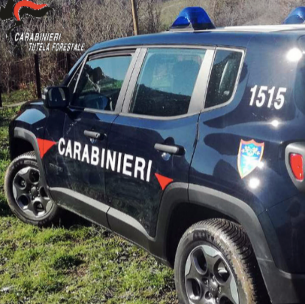 Rifiuti edili abbandonati in area boschiva: denunciata 45enne a Suvereto